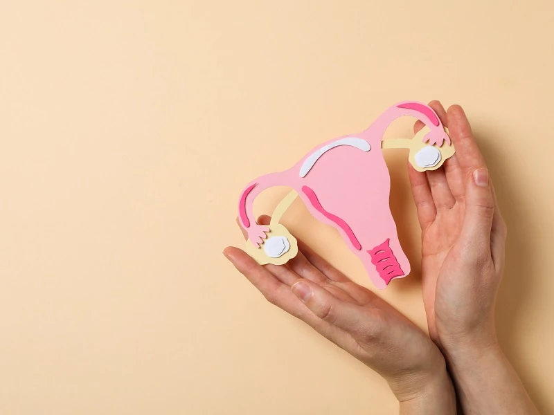 Mengenal Transfer Embrio Beku dan Persiapannya